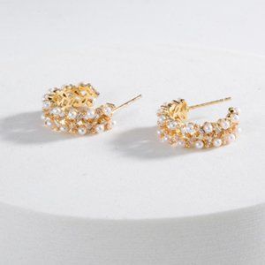 Women's fashion earrings